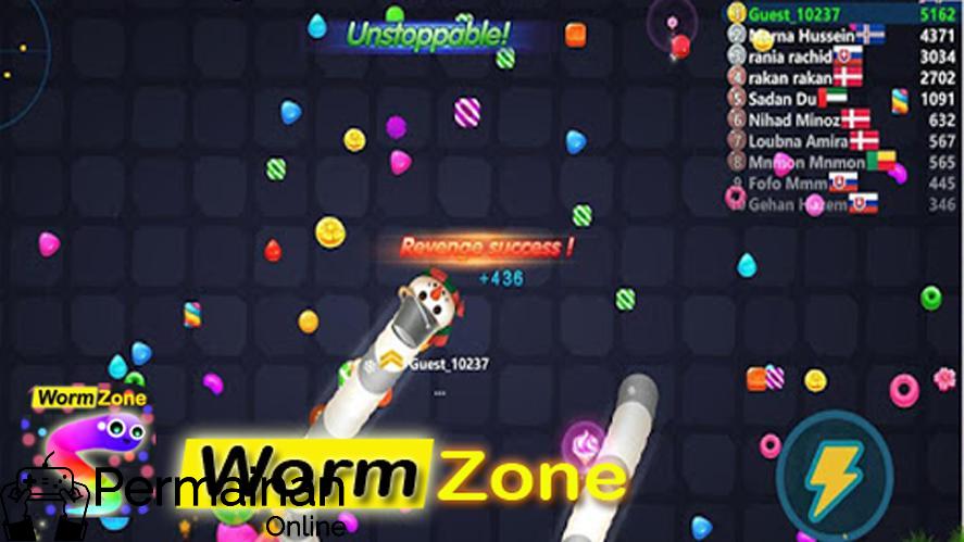 Worm Zone PC